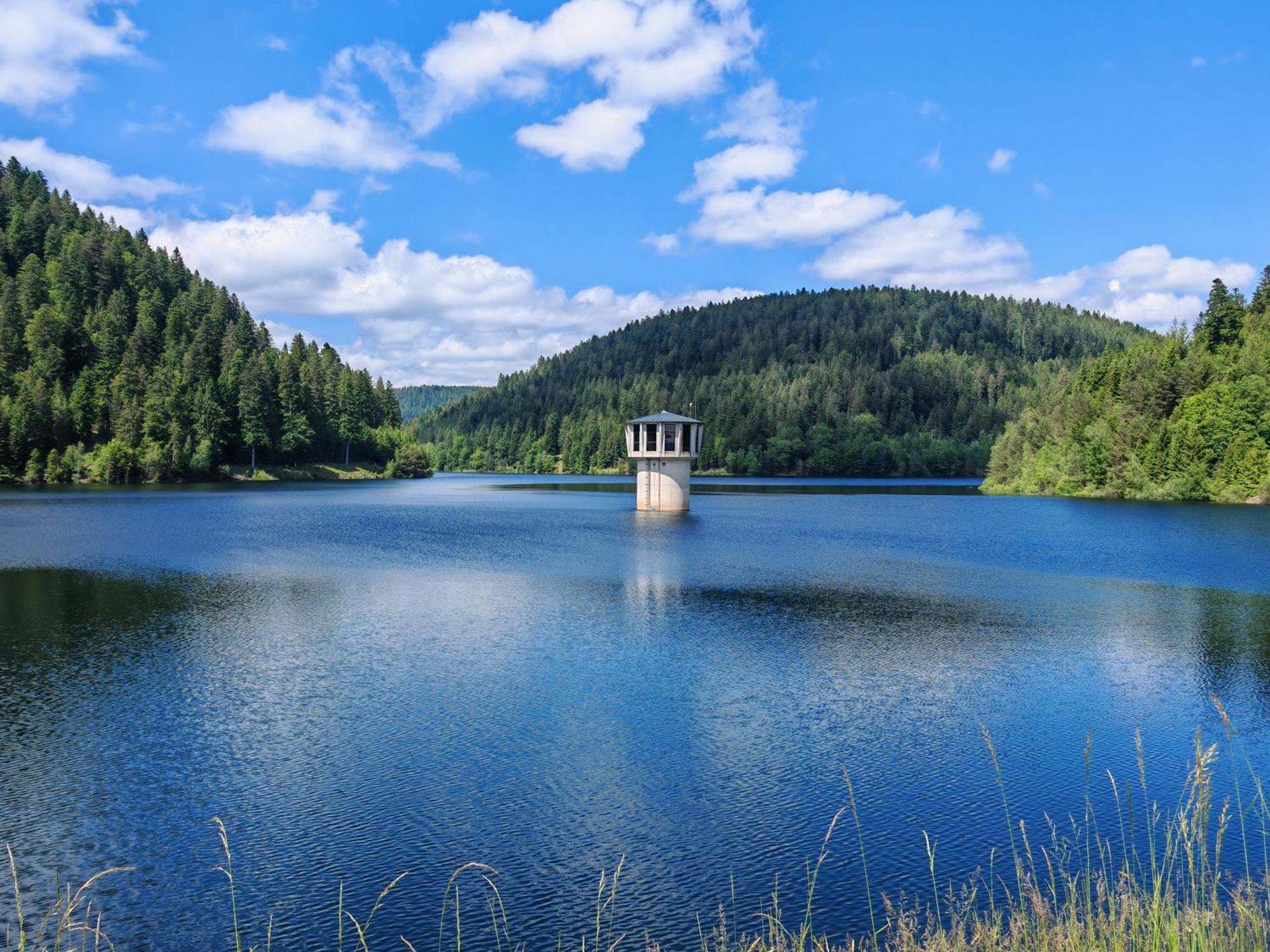 Gasthof "Zum Steinwald" Loßburg Εξωτερικό φωτογραφία