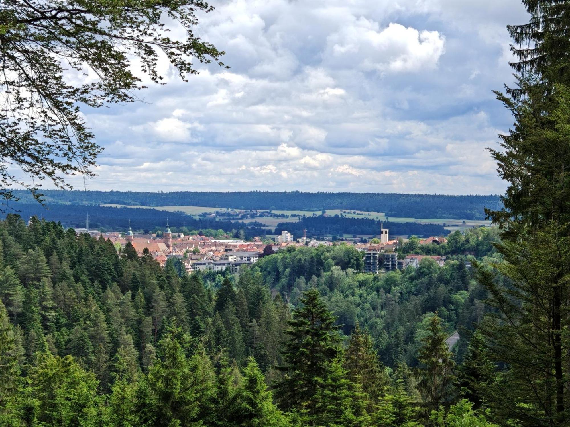 Gasthof "Zum Steinwald" Loßburg Εξωτερικό φωτογραφία
